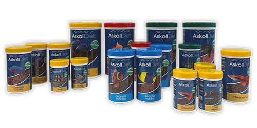 Askoll Diet rinnova il look: la qualità di sempre, ancora più facile da scegliere