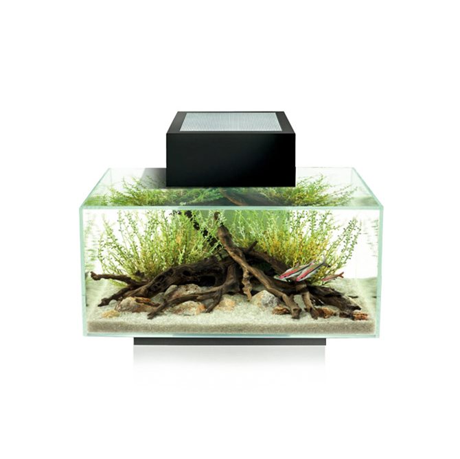 FLUVAL EDGE