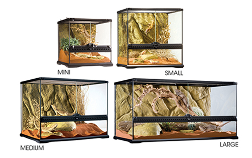 GLASS TERRARIUM WIDE