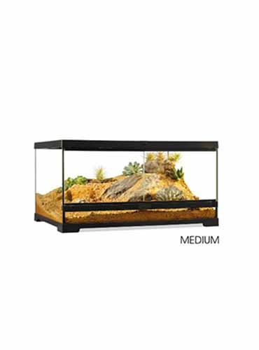 PRO TERRARIUM LOW