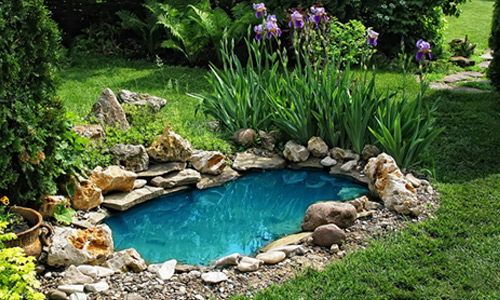 Il laghetto in giardino: un sogno che si realizza