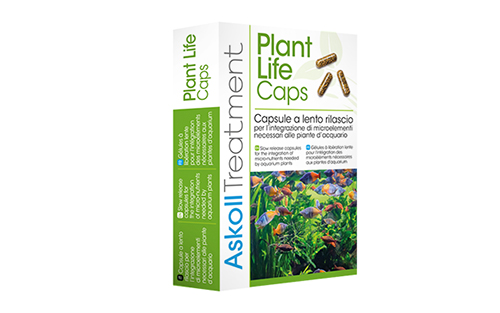 PLANT LIFE Caps