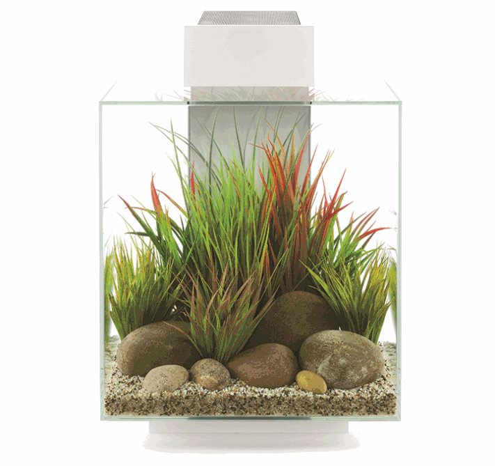 FLUVAL EDGE