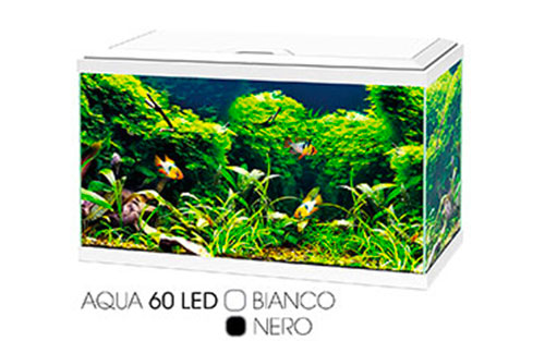 CIANO AQUA LED | CIANO AQUA LED PLUS