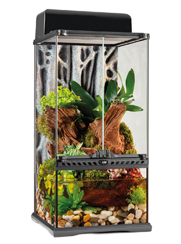 GLASS PALUDARIUM