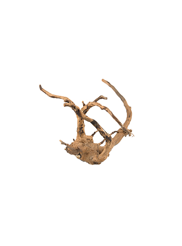 PURE Ornaments natural WOOD