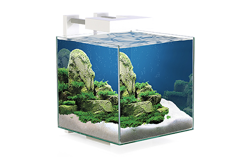 CIANO NEXUS PURE CUBE 15