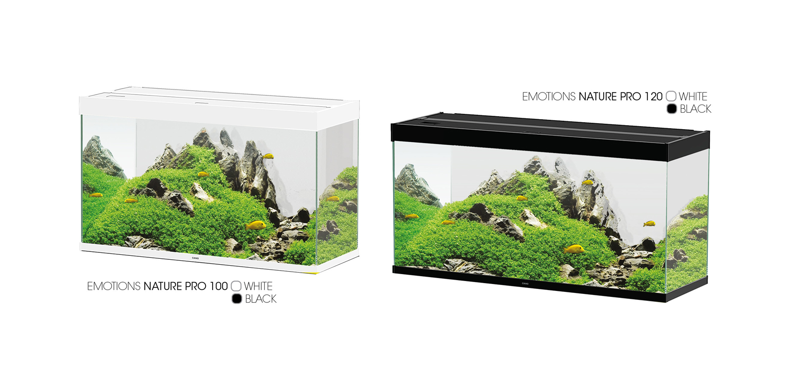 CIANO EMOTIONS NATURE PRO 100 | 120 
