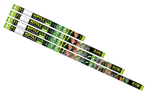 REPTILE UVB 100