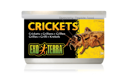 SPECIALTY REPTILE FOOD  