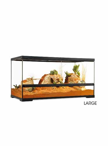 PRO TERRARIUM WIDE