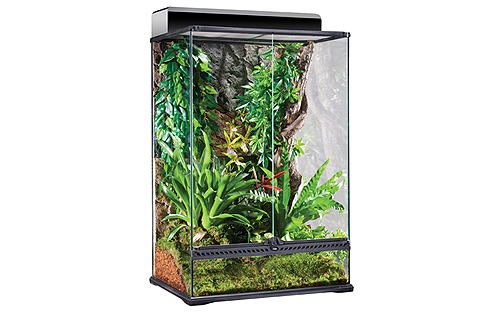 GLASS TERRARIUM X-TALL
