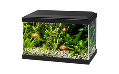 CIANO AQUA LIGHT 20 LED