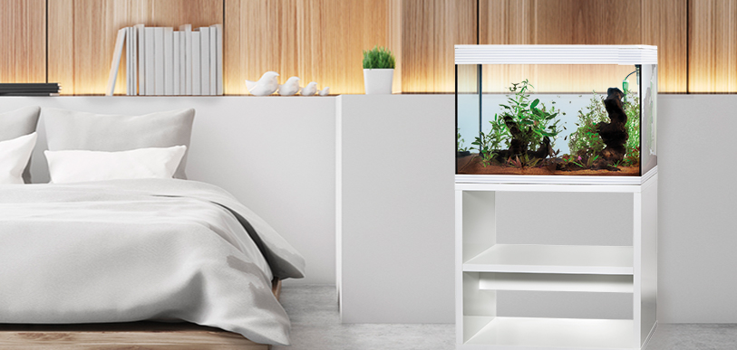 Fresh water aquariums & stand