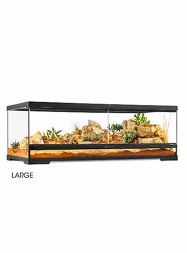 PRO TERRARIUM LOW