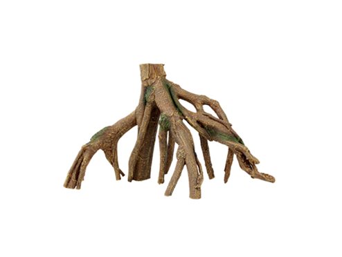 Mangrovia L