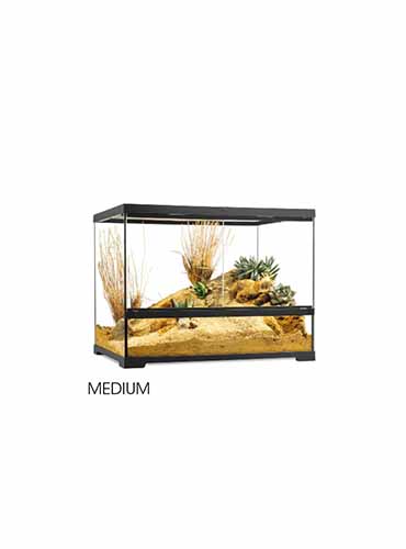 PRO TERRARIUM WIDE