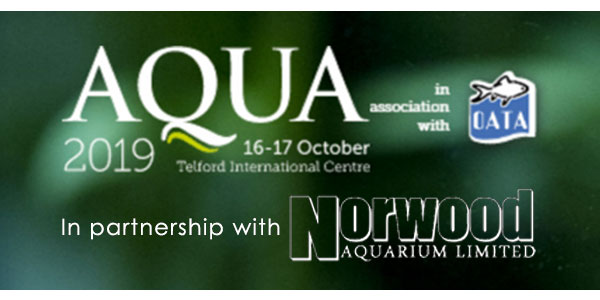 AQUA 2019, Askoll’s here.