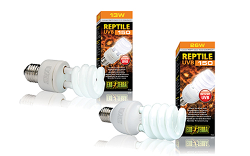 REPTI GLO 10.0 COMPACT 