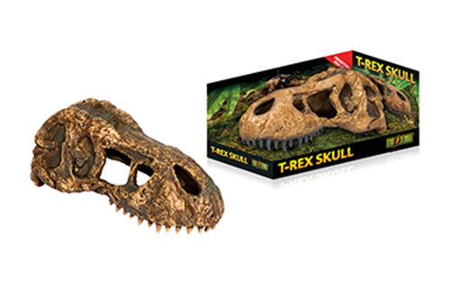 T-REX SKULL