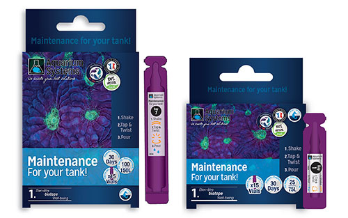 MAINTENANCE ACQUARIO MARINO