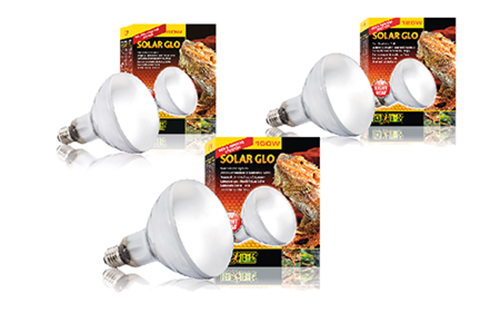 SOLAR GLO 