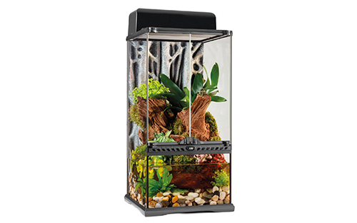 GLASS PALUDARIUM