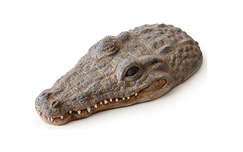 CROC TURTLE ISLAND