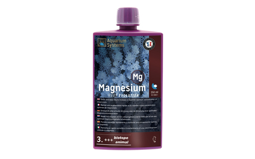 MAGNESIUM