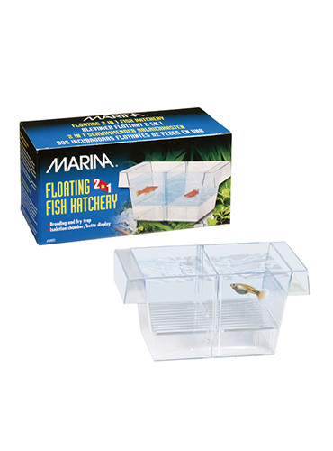 MARINA SALA PARTO 2 IN 1