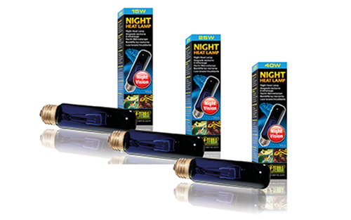 NIGHT GLO 