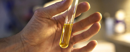 Liquids & Tests