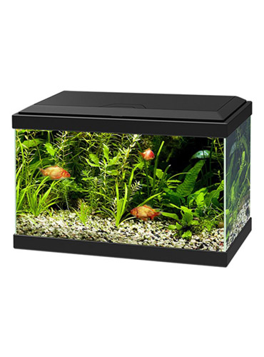 CIANO AQUA LIGHT 20 LED