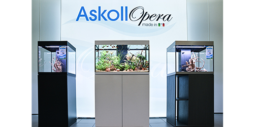 Eventi lancio della nuova linea Askoll OPERA