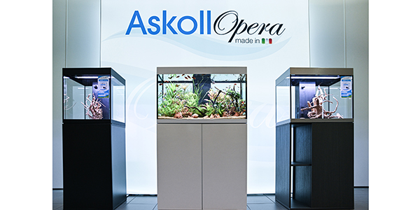 Eventi lancio della nuova linea Askoll OPERA