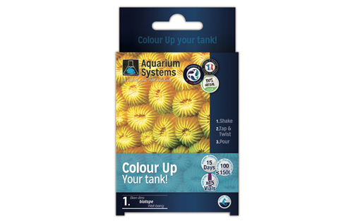 COLOR-UP