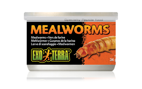 SPECIALTY REPTILE FOOD  