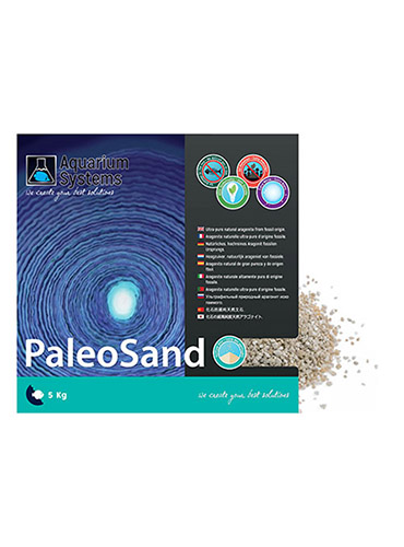PALEO SAND