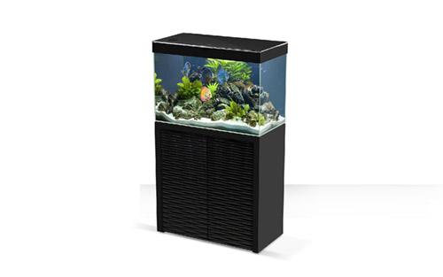 CIANO EMOTIONS ONE 80