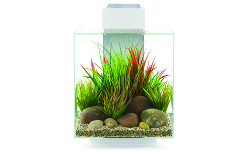 FLUVAL EDGE