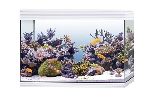 PURE MARINE XL HC LED