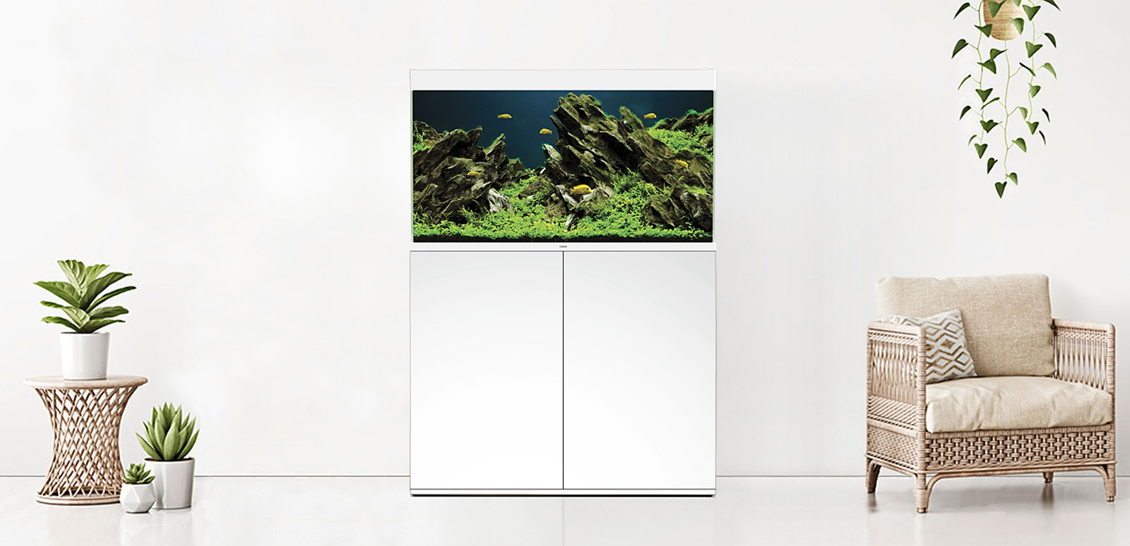 CIANO EMOTIONS NATURE PRO 100 | 120 