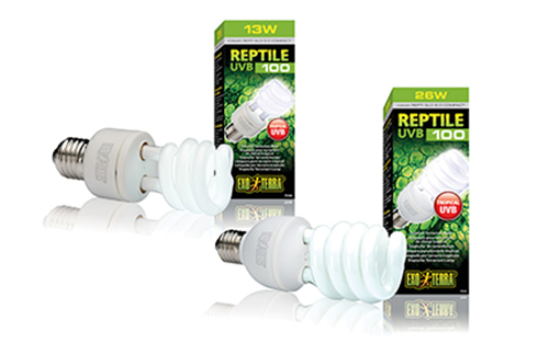 REPTI GLO 5.0 COMPACT