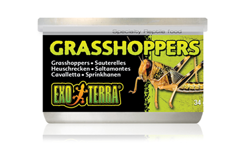 SPECIALTY REPTILE FOOD 