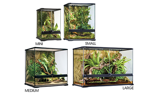 GLASS TERRARIUM TALL