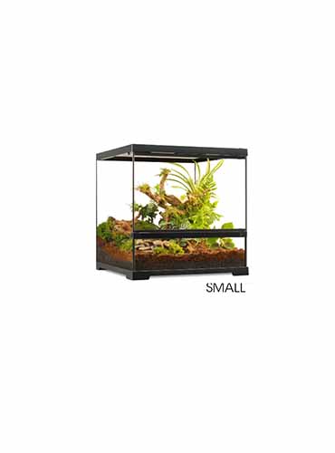 PRO TERRARIUM WIDE