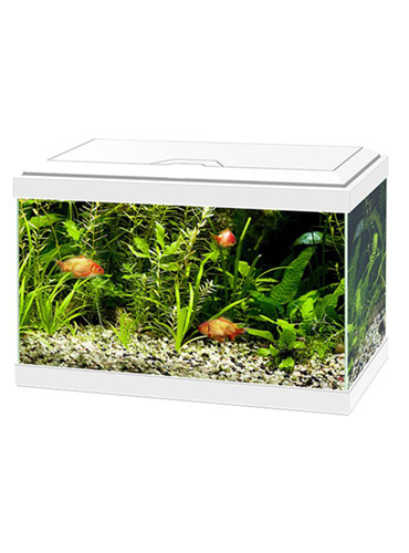 CIANO AQUA LIGHT 20 LED