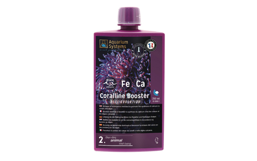 CORALLINE BOOSTER