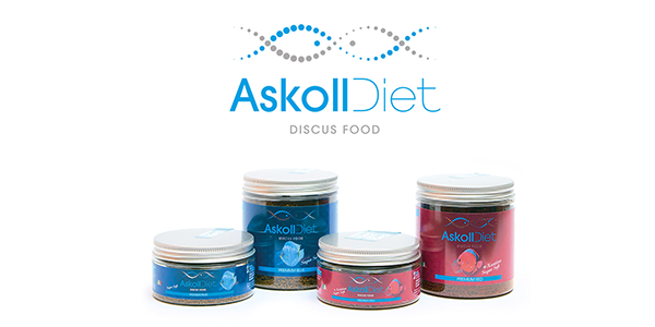 DIET PREMIUM: due nuove gustose referenze
