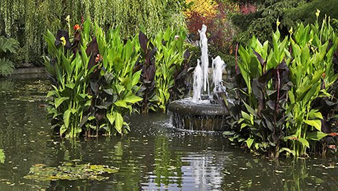 Recharge your batteries in close contact with nature!